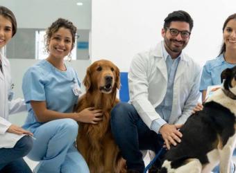 A Veterinarian's Role In The One Health Perspective